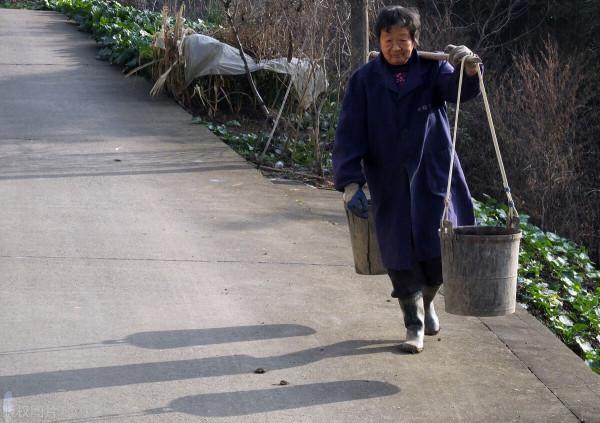 用人尿作為肥料種植的青蘿蔔,可以吃嗎?為什麼? 用人尿作為肥料種植的青蘿蔔,可以吃嗎?為什麼?