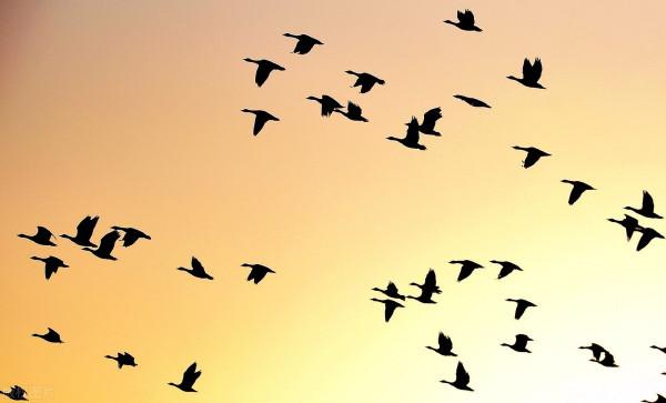 最經典的詩詞530首,掌握這些詩詞對寫詩和鑑賞詩詞足夠了 最經典的詩詞530首,掌握這些詩詞對寫詩和鑑賞詩詞足夠了