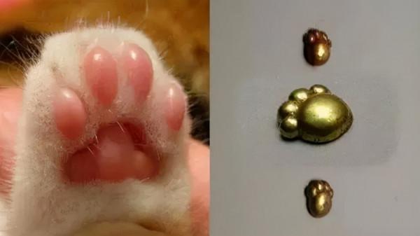 人民幣上藏著“六隻貓”?其中有兩隻還是跪著的 人民幣上藏著“六隻貓”?其中有兩隻還是跪著的