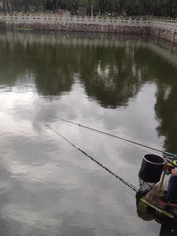 老釣魚人提醒秋冬季釣魚上魚有“窗囗期”,抓住時機上魚不難 老釣魚人提醒秋冬季釣魚上魚有“窗囗期”,抓住時機上魚不難