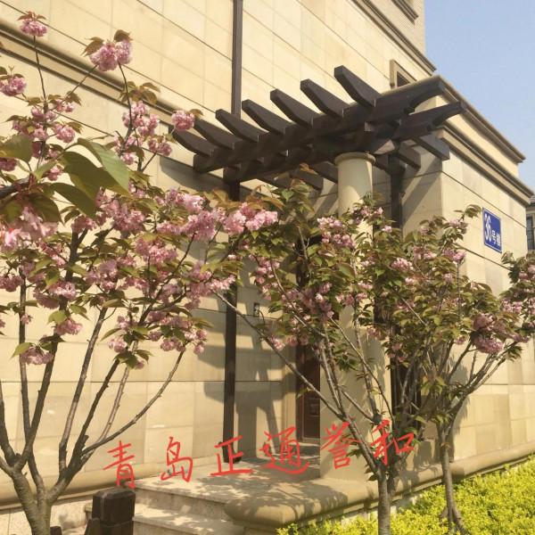 德國雷馬士水性木器漆原裝進口德國雷瑪仕硬質木蠟油戶外木器漆