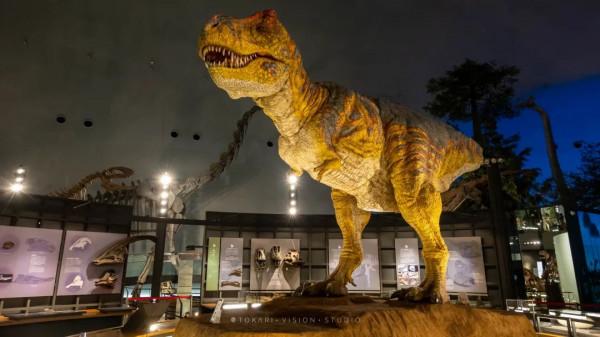 逛逛日本 &vert; 一券在手 遊走日本升龍道夢之旅