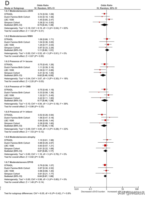 黃勇華教授團隊:2021腦小血管病的研究新進展 黃勇華教授團隊:2021腦小血管病的研究新進展