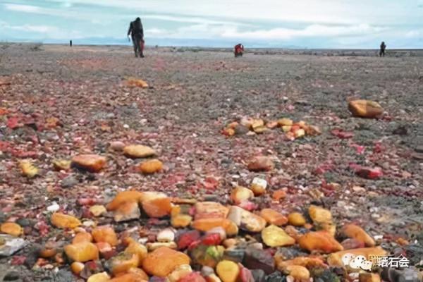 等疫情結束後，我們去撿石頭吧