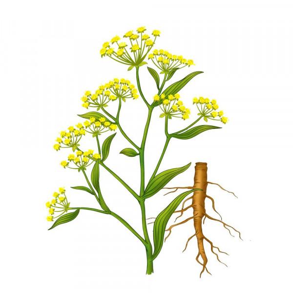 胃痛反覆發作,中醫提醒:治胃痛不能光治胃 胃痛反覆發作,中醫提醒:治胃痛不能光治胃