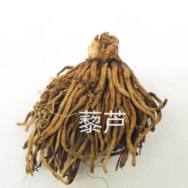 中藥古今研究:藜蘆 中藥古今研究:藜蘆