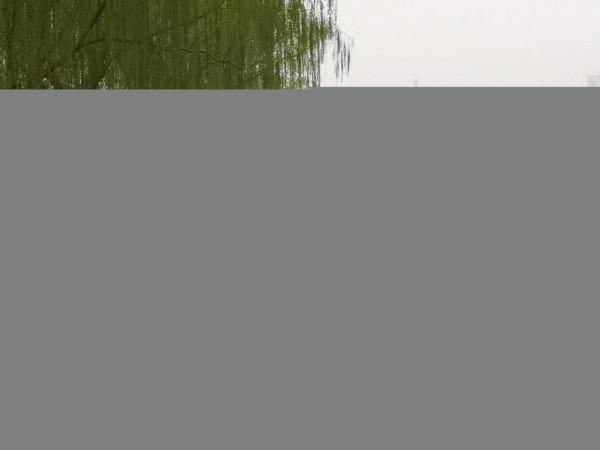 #北京頭條# 龍潭湖的早晨