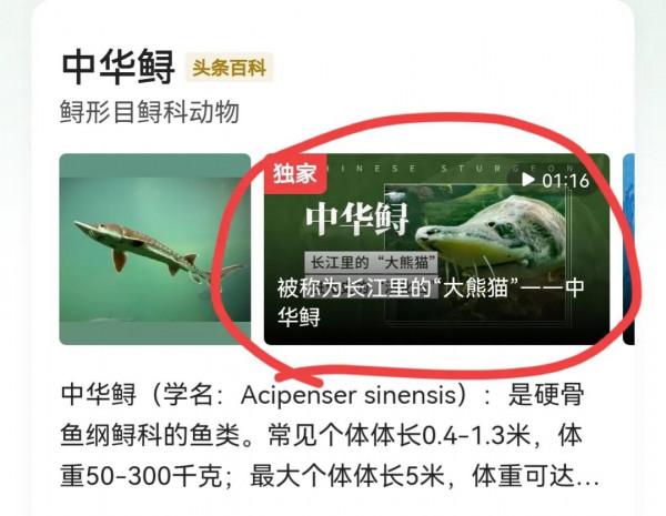 一釣魚愛好者釣到一條大魚後嚇得立馬放生,網友:這條魚我看刑 一釣魚愛好者釣到一條大魚後嚇得立馬放生,網友:這條魚我看刑