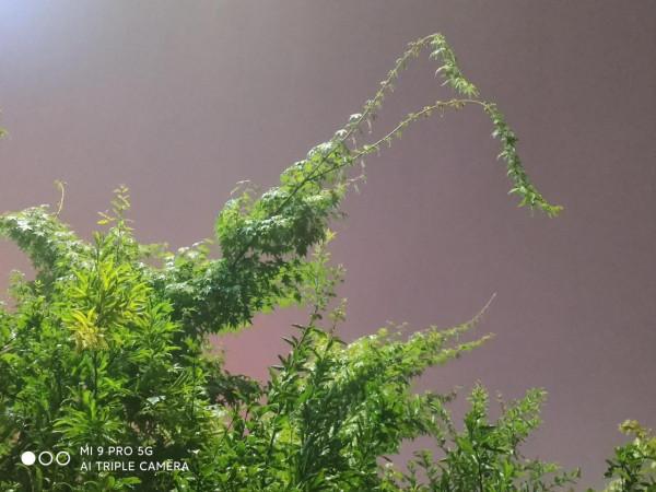 忘掉了時光，怎麼會快快老去？