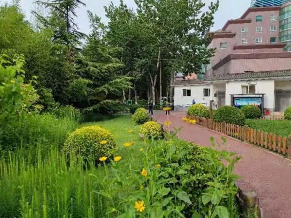 【FENG聞】創森 | 誰說夏天沒有花 帶你去蓮花池看花 【FENG聞】創森 | 誰說夏天沒有花 帶你去蓮花池看花