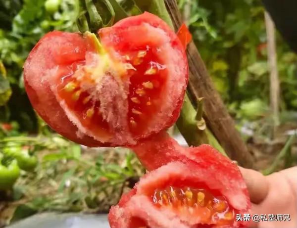 你是明白了哪幾個基本原理之後廚藝大增的? 你是明白了哪幾個基本原理之後廚藝大增的?