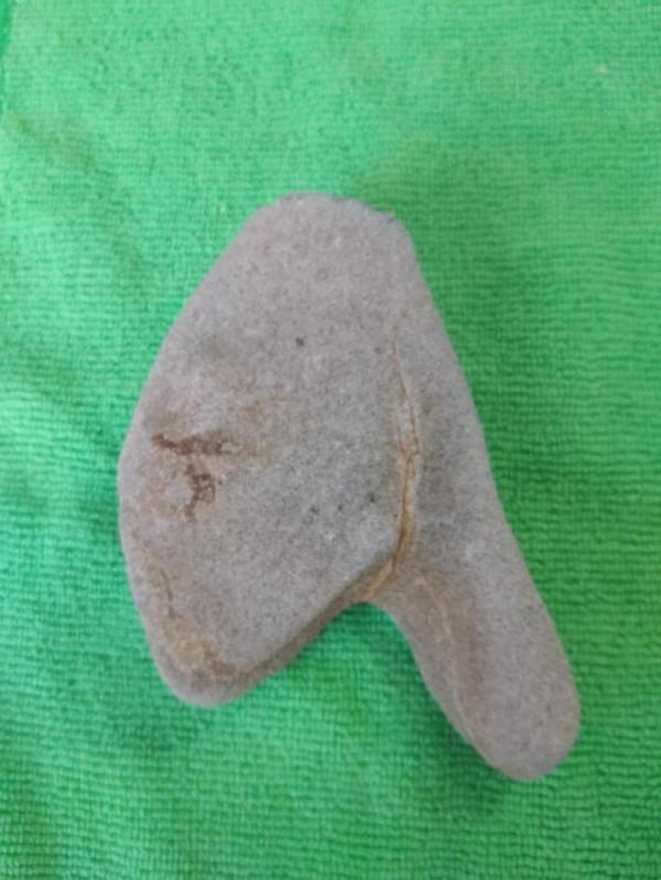 天上不掉餡餅只掉雞腿