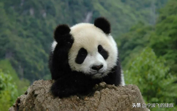 美國黃石的13倍！我國首批國家公園正式官宣，驚豔世界的風景來了