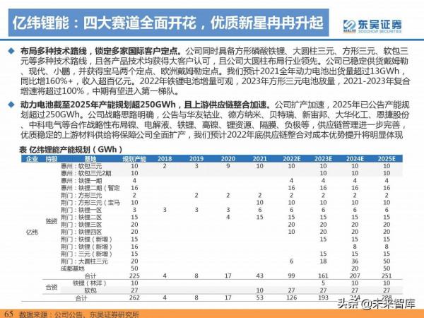 2021年電動汽車行業資料總結：電動化趨勢明確，國內鋰電龍頭崛起