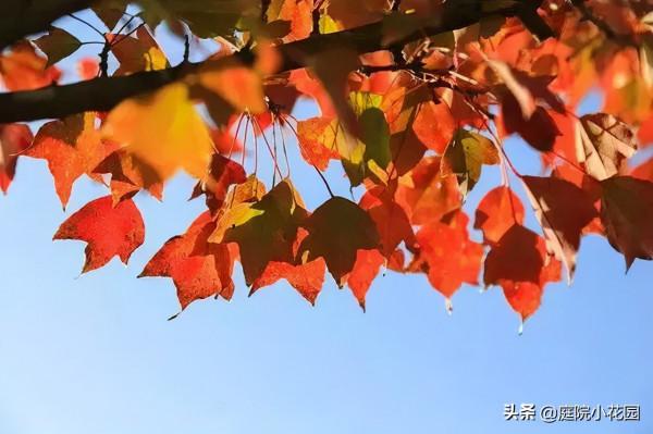 他賣掉城裡的房子，包了個山頭，打造集裝箱陽光房、小木屋、花園