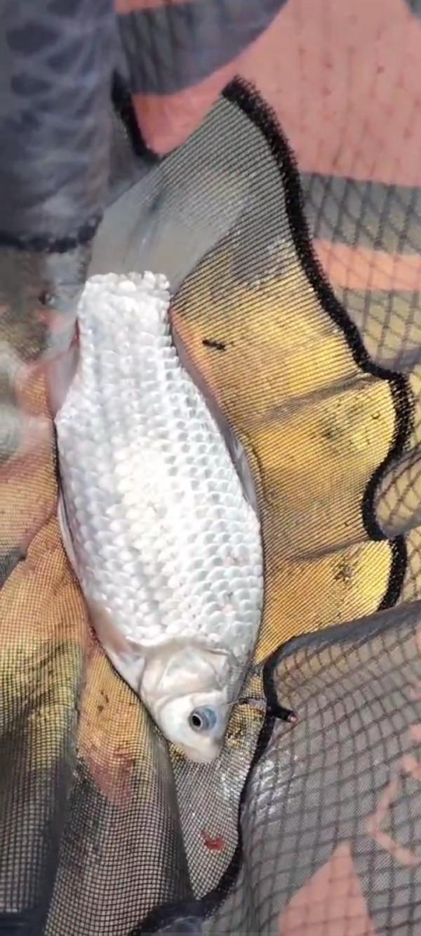 垂釣之旅——日行千里，只為漁你相見