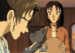 論名偵探柯南里哪一對狗糧撒得最兇猛