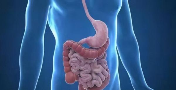 入睡前分別吃了半斤牛肉和半斤素食的兩個人,哪個人早上體重輕? 入睡前分別吃了半斤牛肉和半斤素食的兩個人,哪個人早上體重輕?