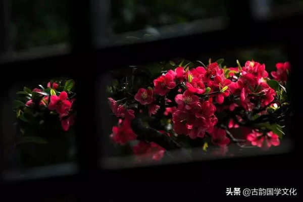 《道德經》:八句話,八種處世大智慧 《道德經》:八句話,八種處世大智慧