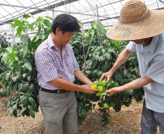 央視《新聞聯播》點贊!他是“糧食英雄”葉明兒 央視《新聞聯播》點贊!他是“糧食英雄”葉明兒