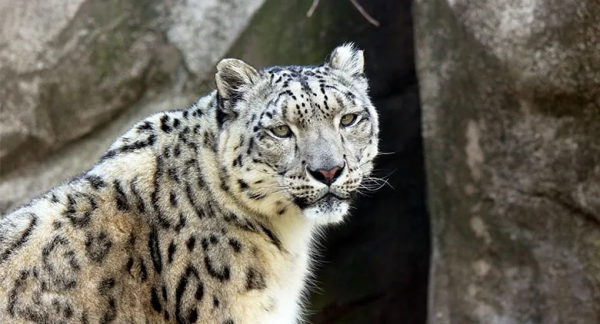 遇間旅遊 | 更新旅遊打卡地！領略大中國國家公園~我在三亞等你