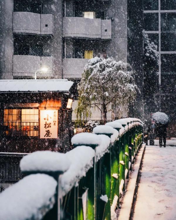 2022東京初雪,這個近45年來最冷的冬天,美翻了 2022東京初雪,這個近45年來最冷的冬天,美翻了
