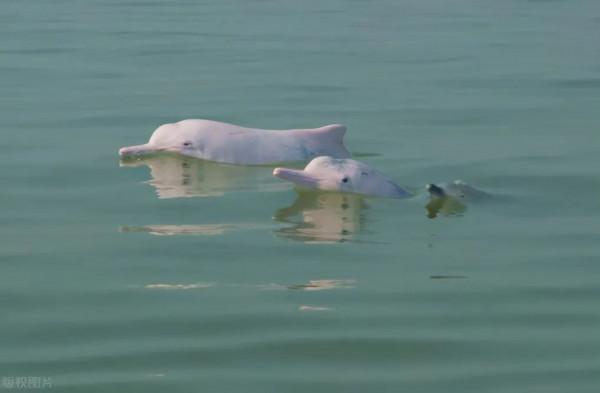 2021“冬遊廣西”正式啟動！