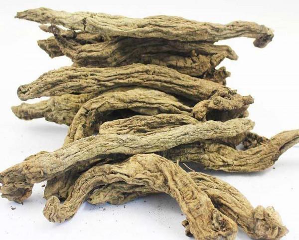 中藥古今研究：玄參