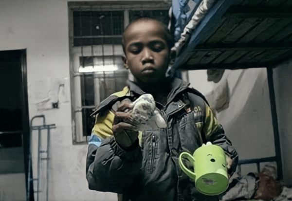 11年前黑人小孩巴比被遺棄，浙江農村奶奶咬牙收養，後來過得怎樣