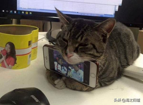 26個來自網友們的生活妙招，看完默默豎起了大拇指