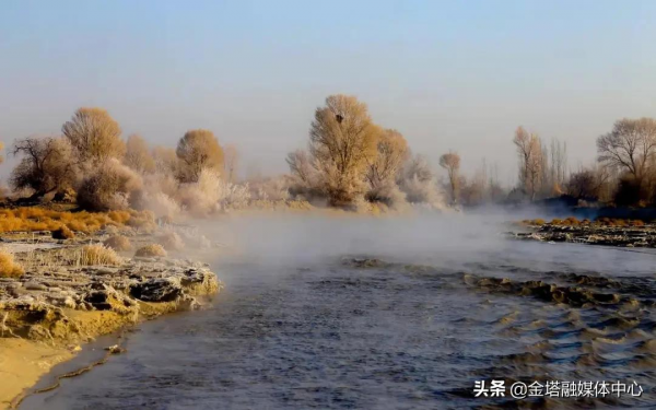 最美霧凇！來金塔看一場樹與冰雪的奇緣