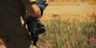 16部超讚自然紀錄片，讓孩子足不出戶看到地球的“真實面目”！