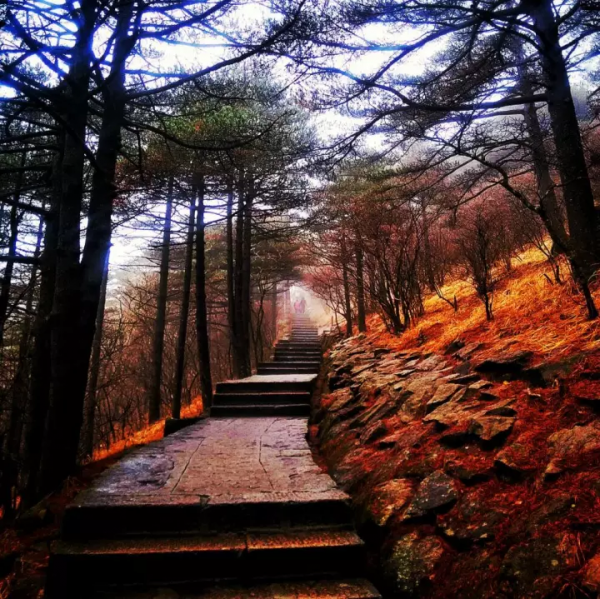 國內最適合閨蜜旅行的10個地方，校服到婚紗，還差一場旅行？