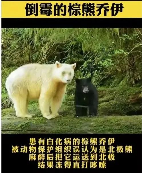 2021年，你被謠言騙了多少次？