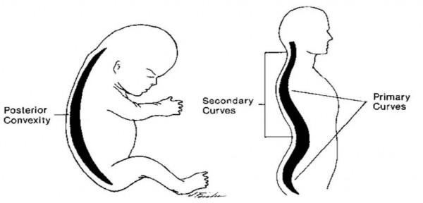 “媽媽,我得用枕頭了”,寶寶發出2個訊號,暗示需要用枕頭了 “媽媽,我得用枕頭了”,寶寶發出2個訊號,暗示需要用枕頭了