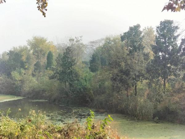 推動地攤經濟復甦，提升社會“煙火氣”迴歸，綻放基層經濟活力