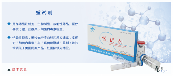 新冠疫苗必須經它檢測才能上市!可愛鱟鱟,守護人類健康 新冠疫苗必須經它檢測才能上市!可愛鱟鱟,守護人類健康