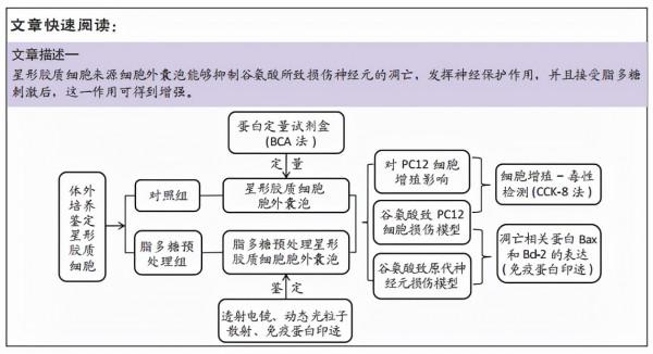 脂多糖預處理活化星形膠質細胞來源細胞外囊泡可保護神經元