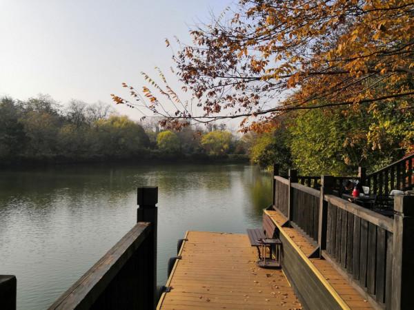 三秋葉落立冬來，九首美詩暖入心