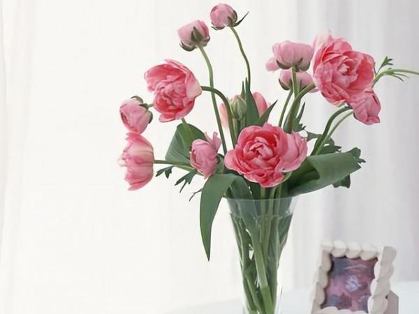 天生善良,但又有傲氣的星座,能對一個人很好,也會很決絕 天生善良,但又有傲氣的星座,能對一個人很好,也會很決絕