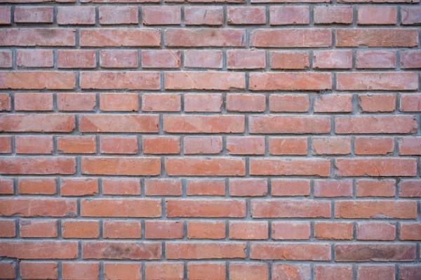 「有料評測」它不是套機頭 尼康Z 24-120mm F4鏡頭評測