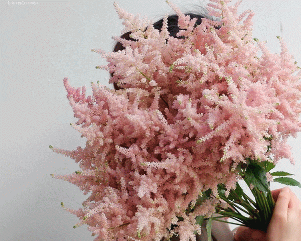 葉似蕨，花霧朦，落新婦散發浪漫唯美的氣息 | 壹木星球 No.4