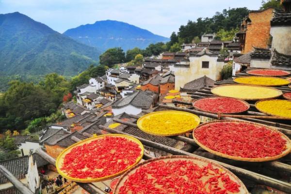 青松城·好享遊 | 這15條路線，值得你踏遍祖國萬千河山
