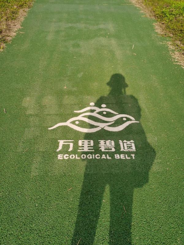 每天運動是必需品 每天運動是必需品