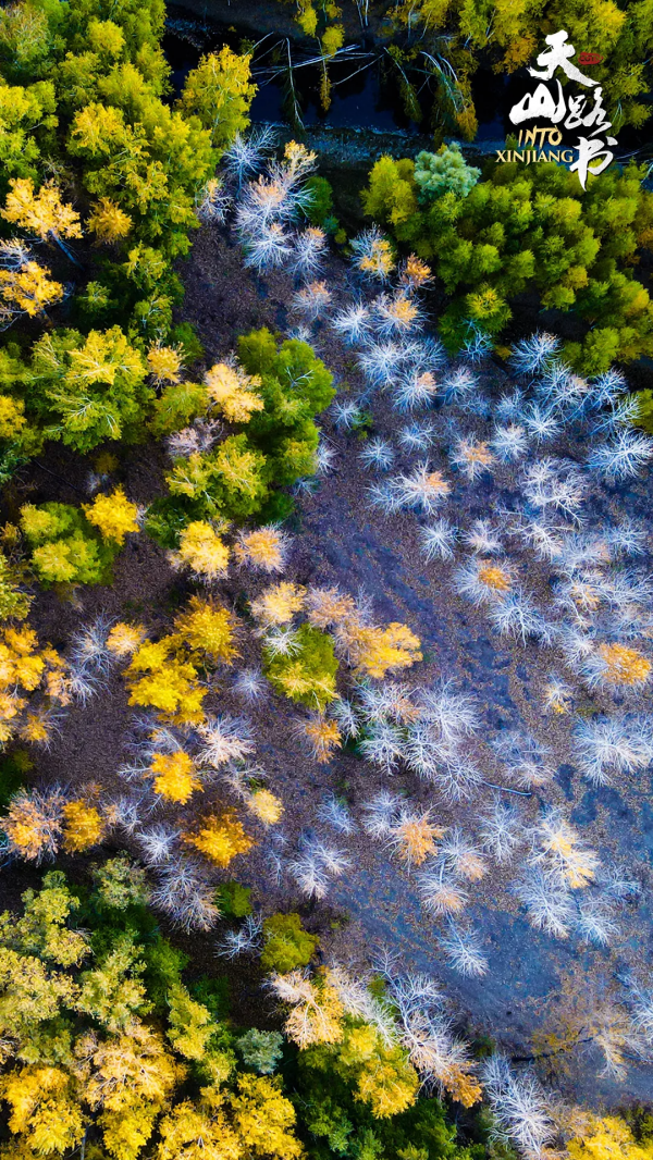 CGTN“天山路書”啟程！一起看新疆壯美風光