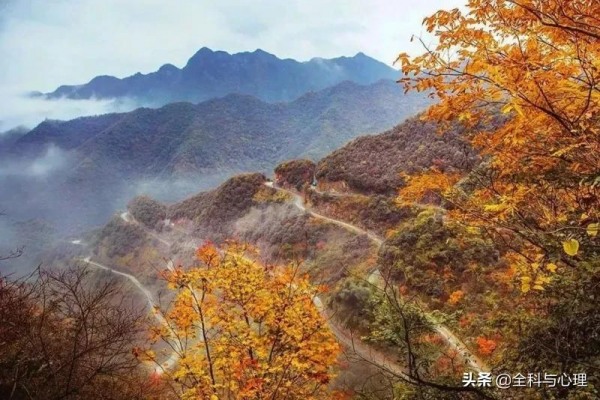 媲美318的爆火穿越路線,遊走在仙境般的皖南秋色之中 媲美318的爆火穿越路線,遊走在仙境般的皖南秋色之中