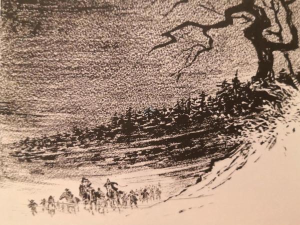 四野傳奇猛將賀晉年，剿匪專治各種不服，百年匪患，一舉蕩平