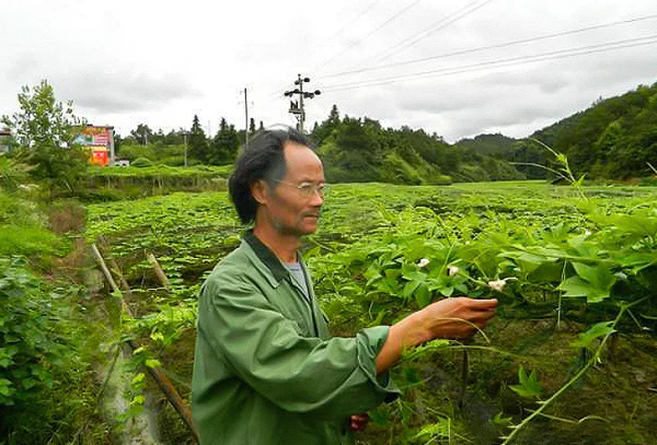 &OpenCurlyDoubleQuote;野人&rdquo;教授何家慶：生前被嫌棄，死後蓋國旗