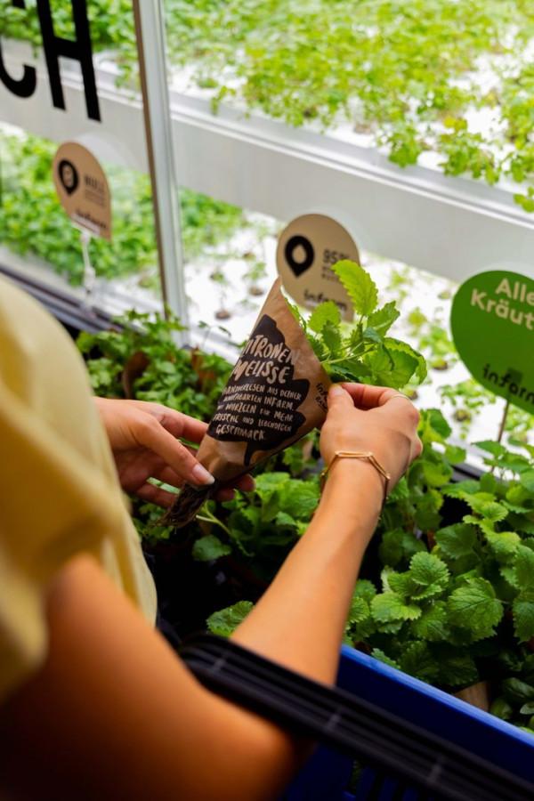 垂直農場的歐洲「獨角獸」出現了,可種植 75 種果蔬 垂直農場的歐洲「獨角獸」出現了,可種植 75 種果蔬