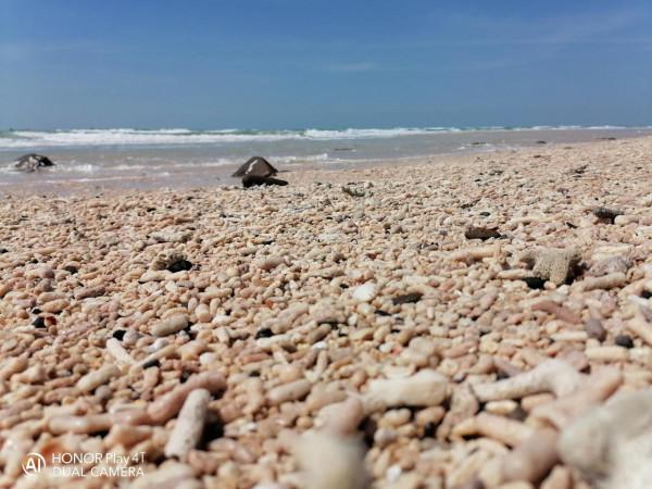 廣西北海潿洲島很坑? 廣西北海潿洲島很坑?